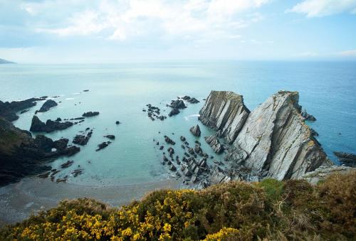 Triton — Barnstaple — photo 2