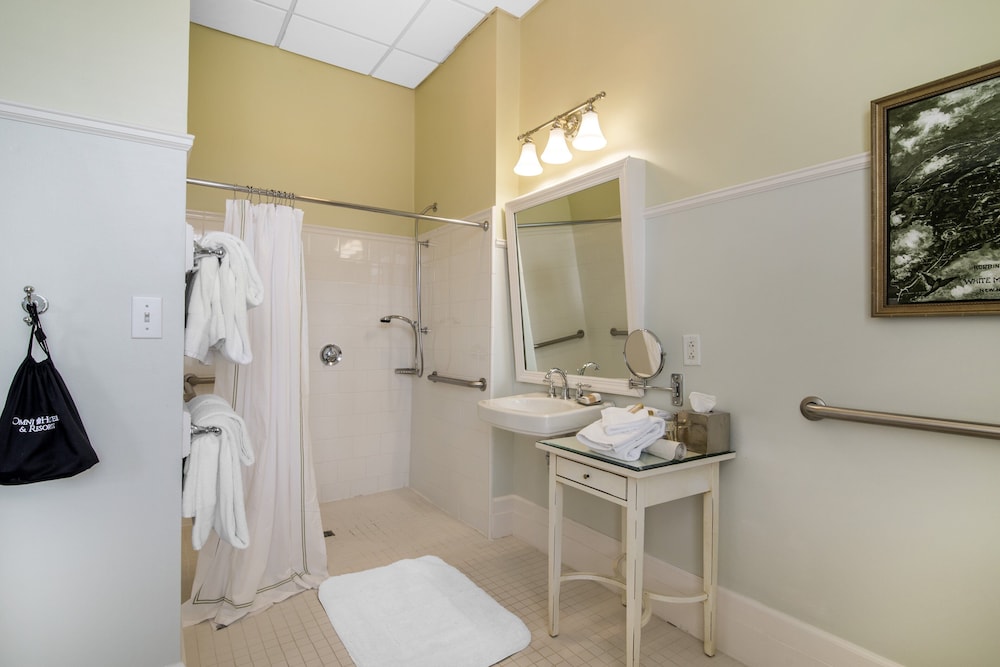 Omni Mount Washington Resort & Spa - photo 34