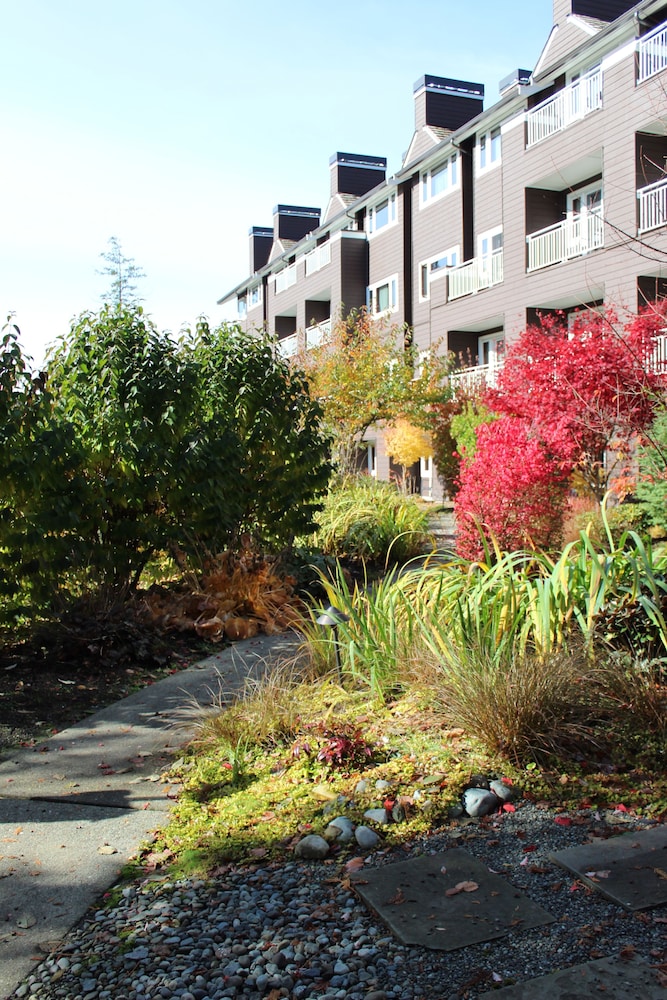 Salish Lodge & Spa - photo 50
