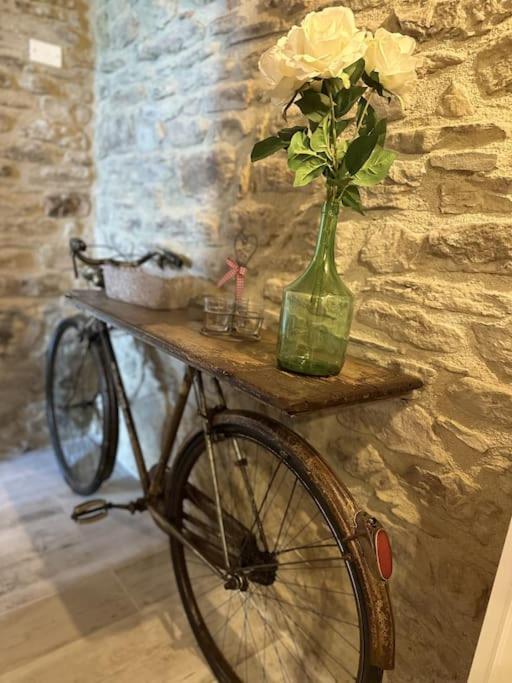 L’oasi delle volpi in Tuoro Sul Trasimeno, Italy