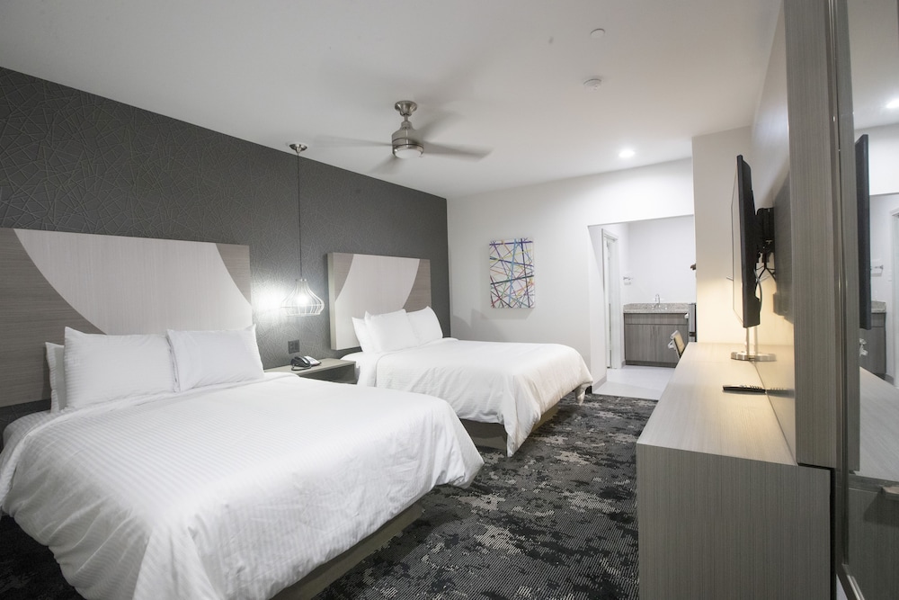 House Hotel - photo 9