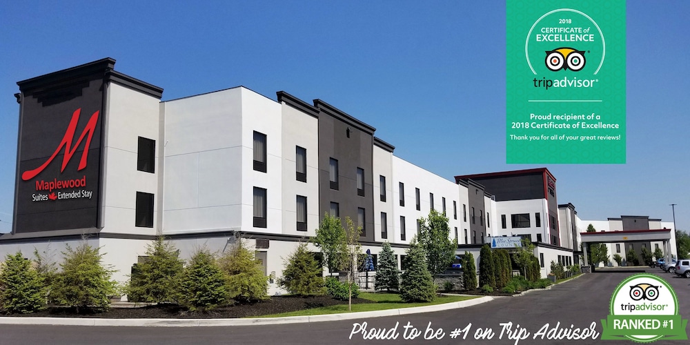 Holiday Inn & Suites Syracuse Airport Liverpool by IHG - photo 78