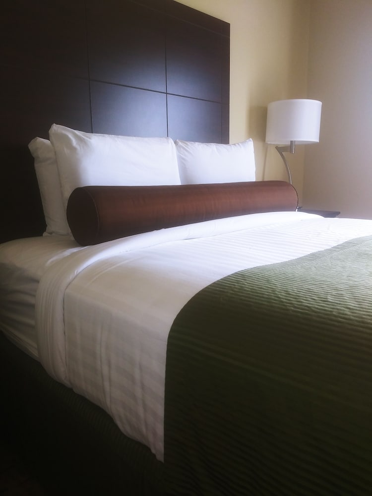 Cobblestone Hotel & Suites Harborcreek - photo 8