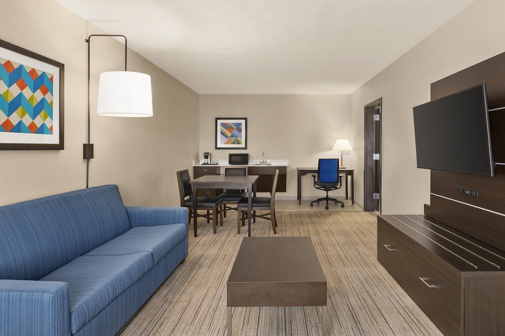 Holiday Inn Express Hotel & Suites Fort Myers East The Forum by IHG - photo 13