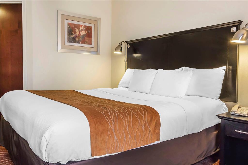 Comfort Inn & Suites LaGuardia Airport - photo 29