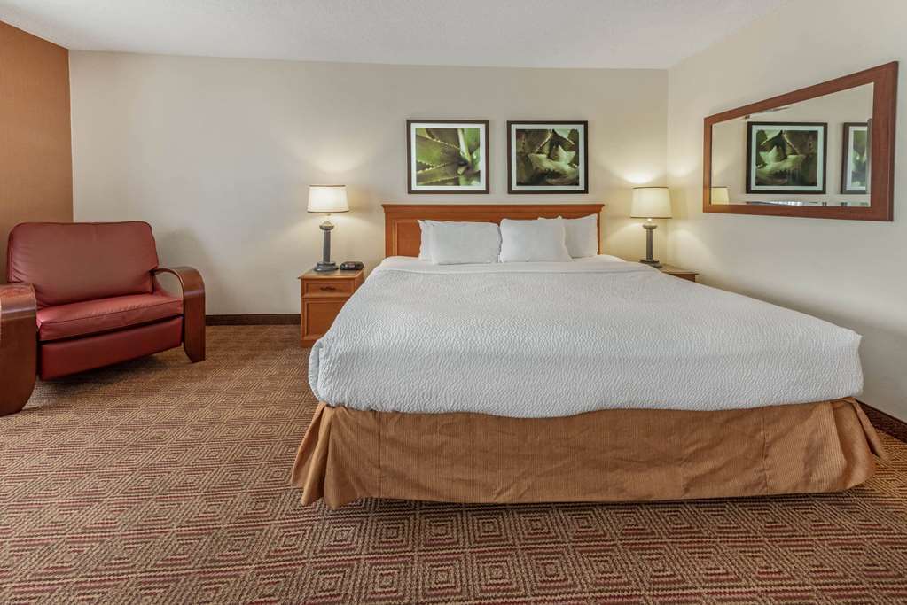 La Quinta Inn & Suites by Wyndham Tampa Brandon West - photo 45