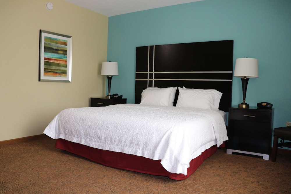 Hampton Inn Austin Oak Hill - photo 16