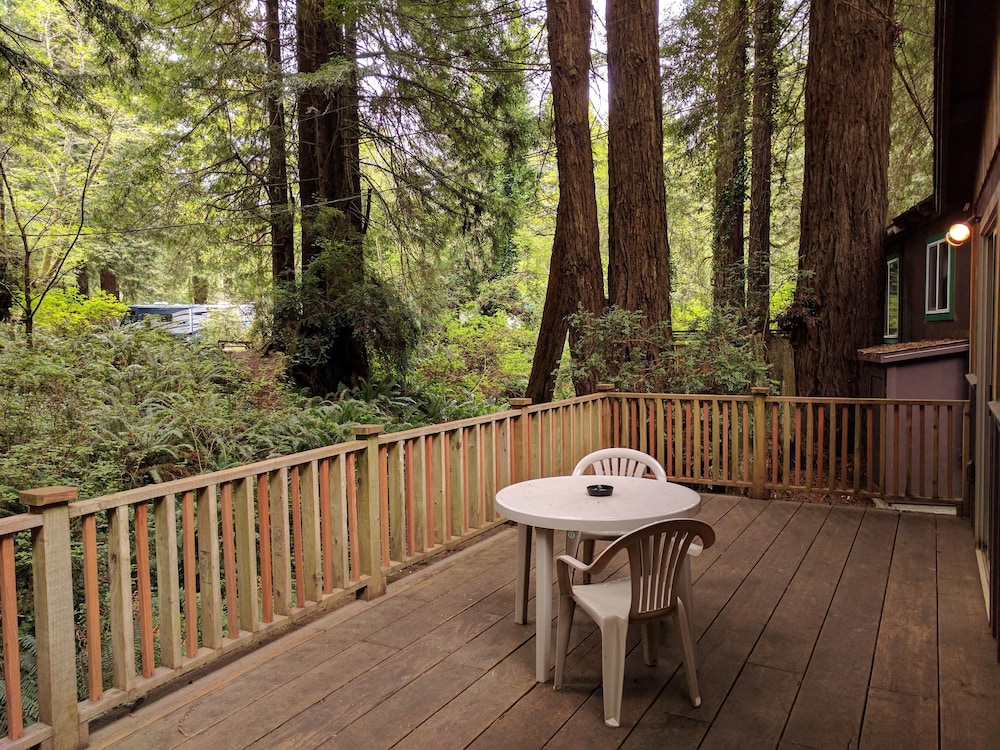 Emerald Forest Cabins - photo 75