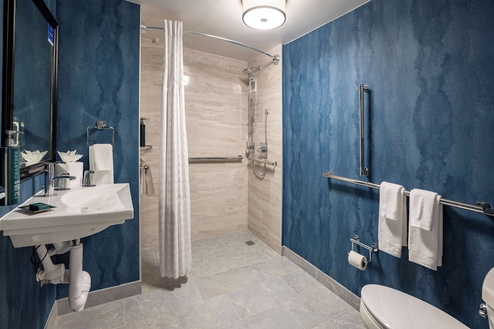 DoubleTree by Hilton Houston Medical Center Hotel & Suites - photo 38