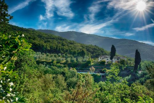 Castellina di Bocco — hotel in Castiglion Fibocchi