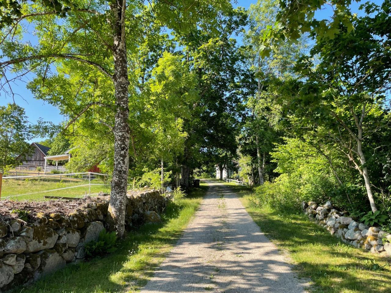 Cottage with beautiful nature open landscape forest and lakes — 4-Star Luxury Hotel in Tingsryd, Sweden