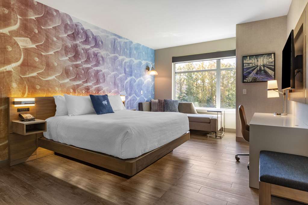 Cambria Hotel Manchester South Windsor - photo 18
