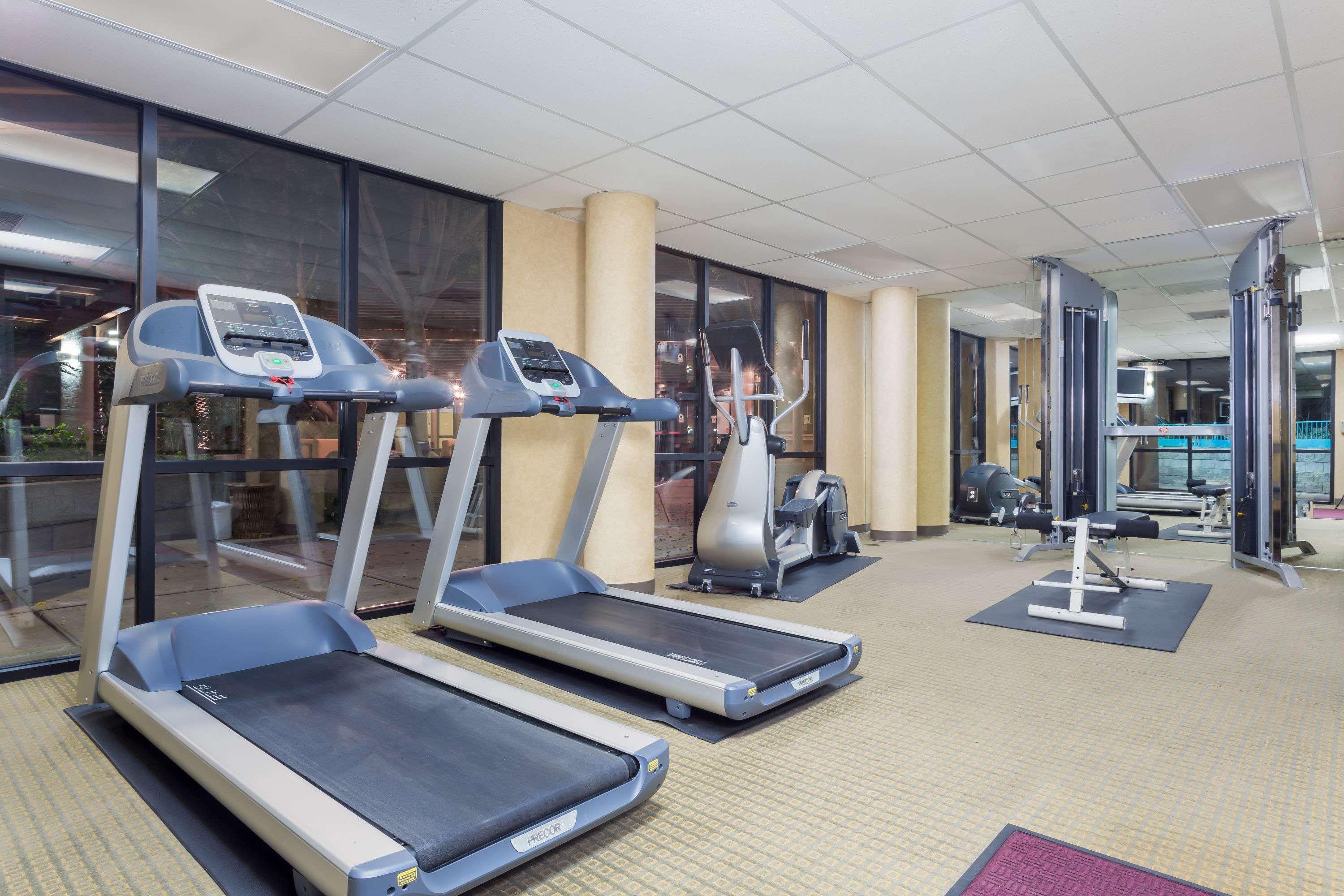 The Phoenix Place Hotel & Suites - photo 12