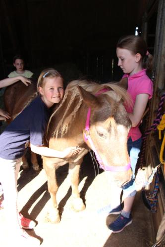 Pony Und Ferienhof Gut Habbecke — Eslohe