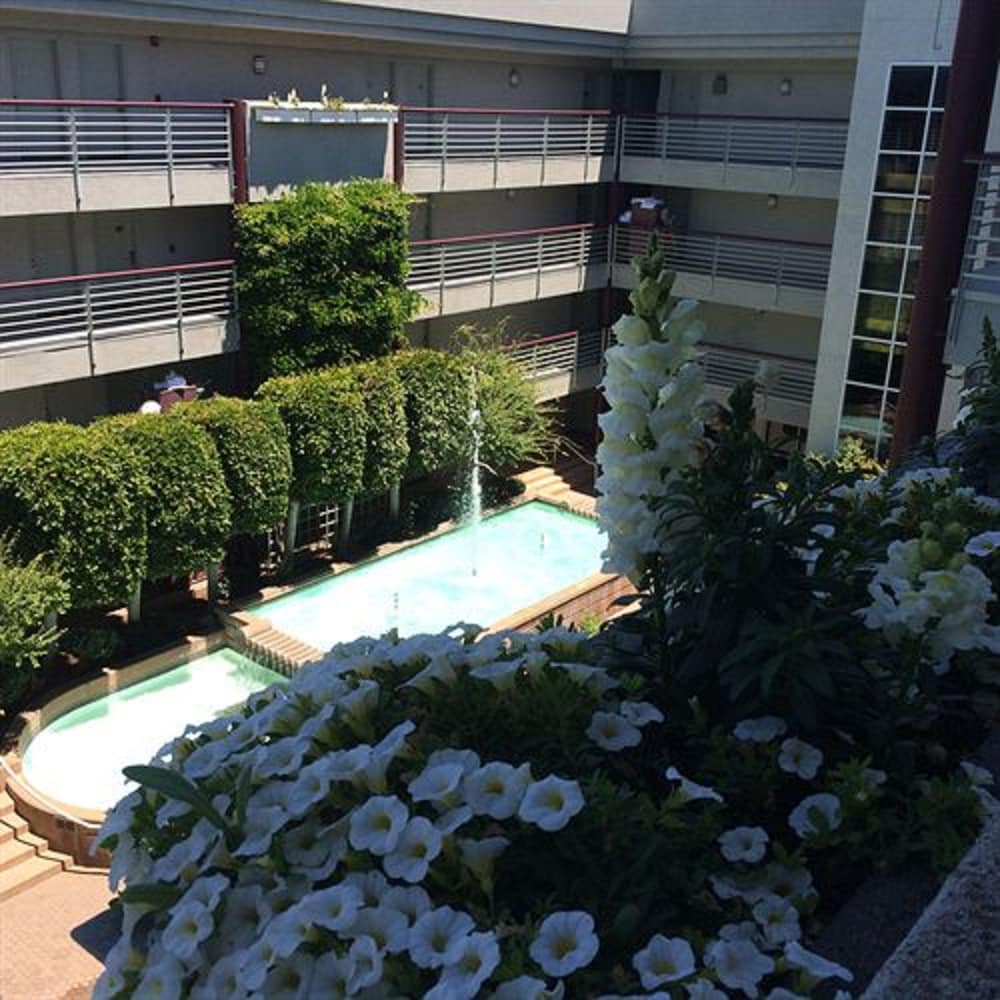 Cupertino Hotel - photo 33