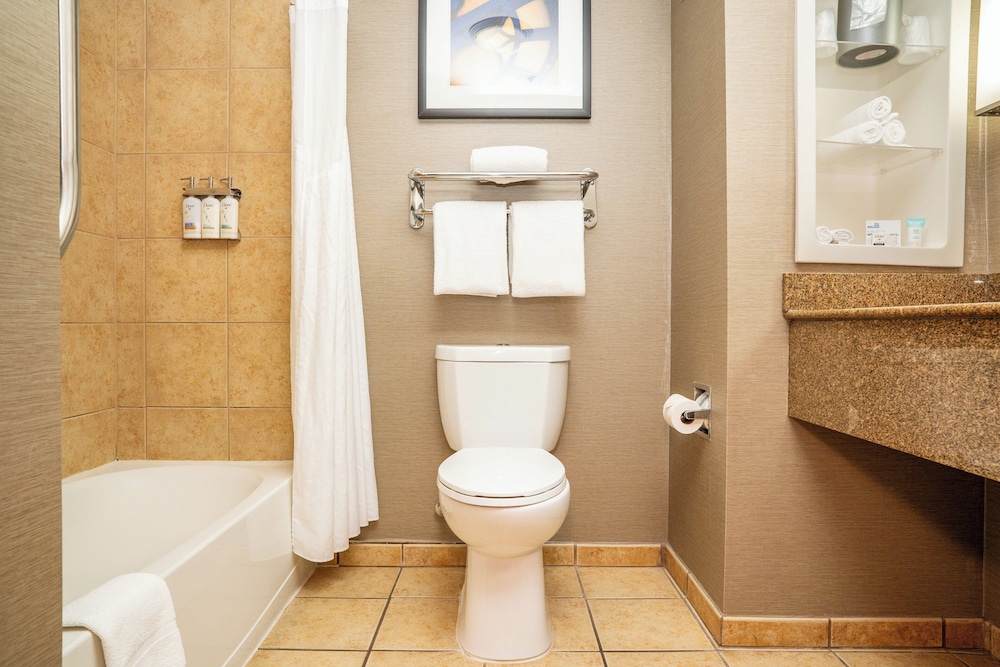 Holiday Inn Express & Suites Barstow Route 66 by IHG - photo 45