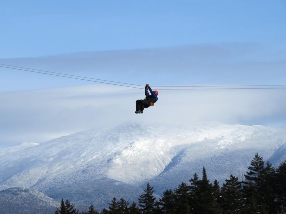 Omni Mount Washington Resort & Spa - photo 91
