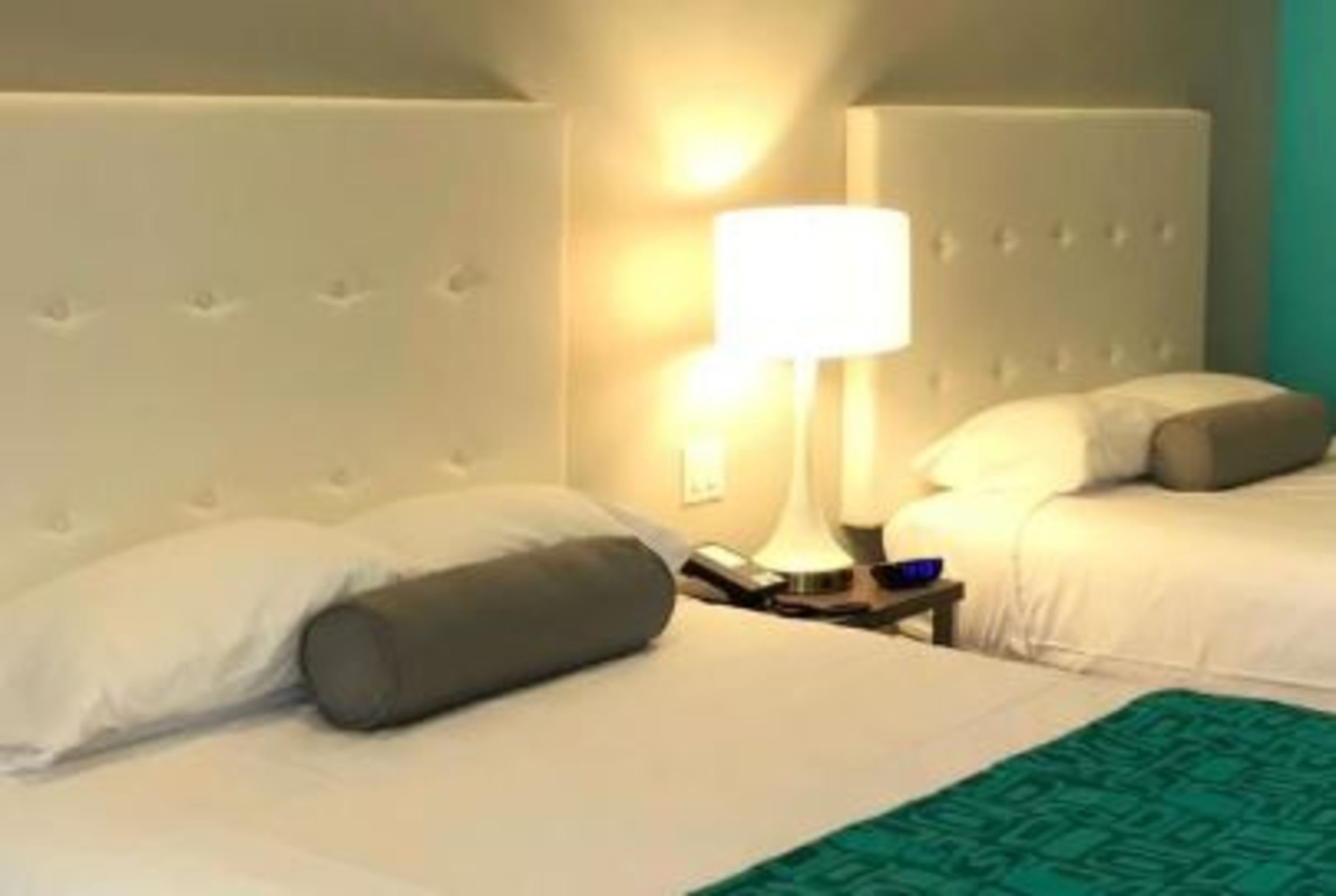 Americas Best Value Inn Houston Willowbrook - photo 37