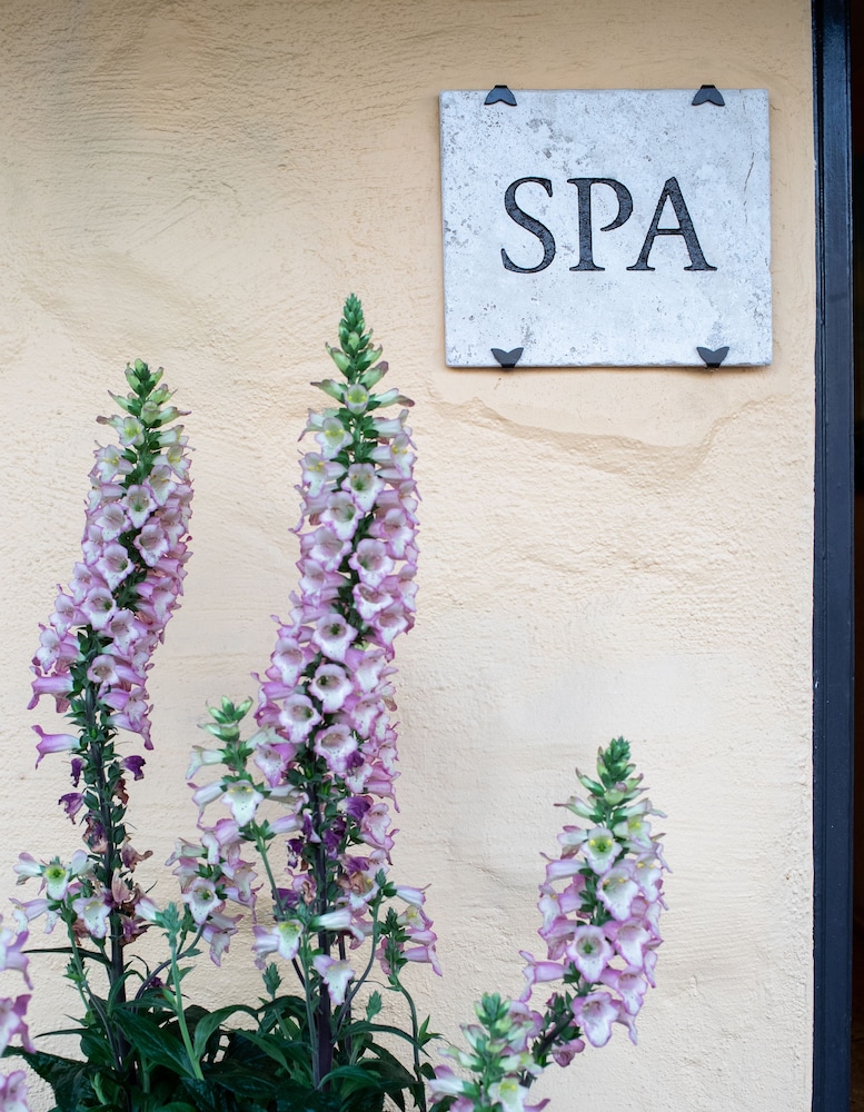 Roman Spa Hot Springs Resort - photo 16