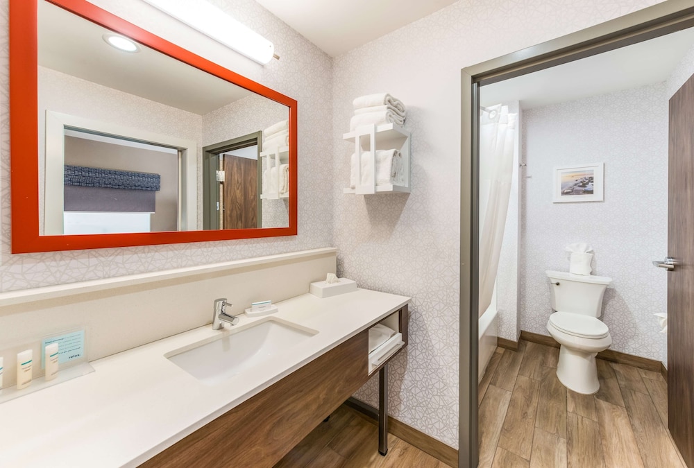 Hampton Inn & Suites Benton Harbor - photo 21