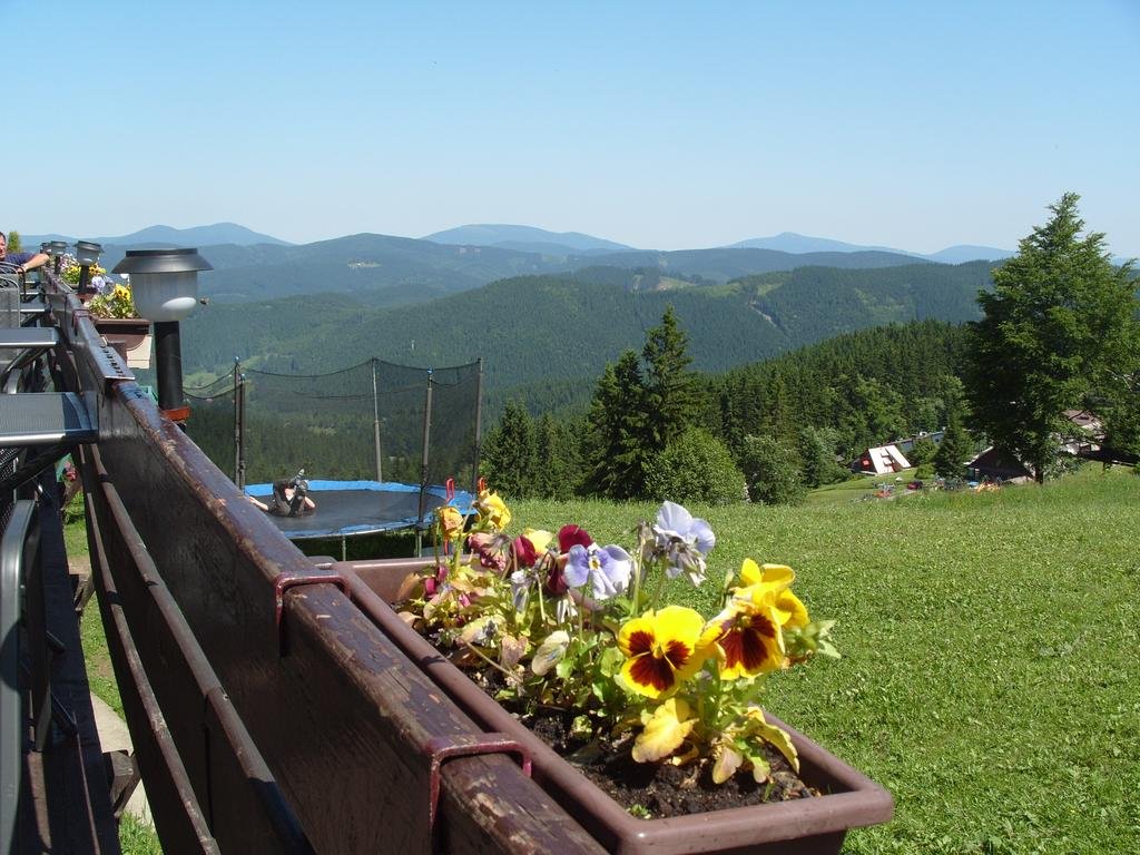 Penzion U Bečvy — Karolinka — photo 4