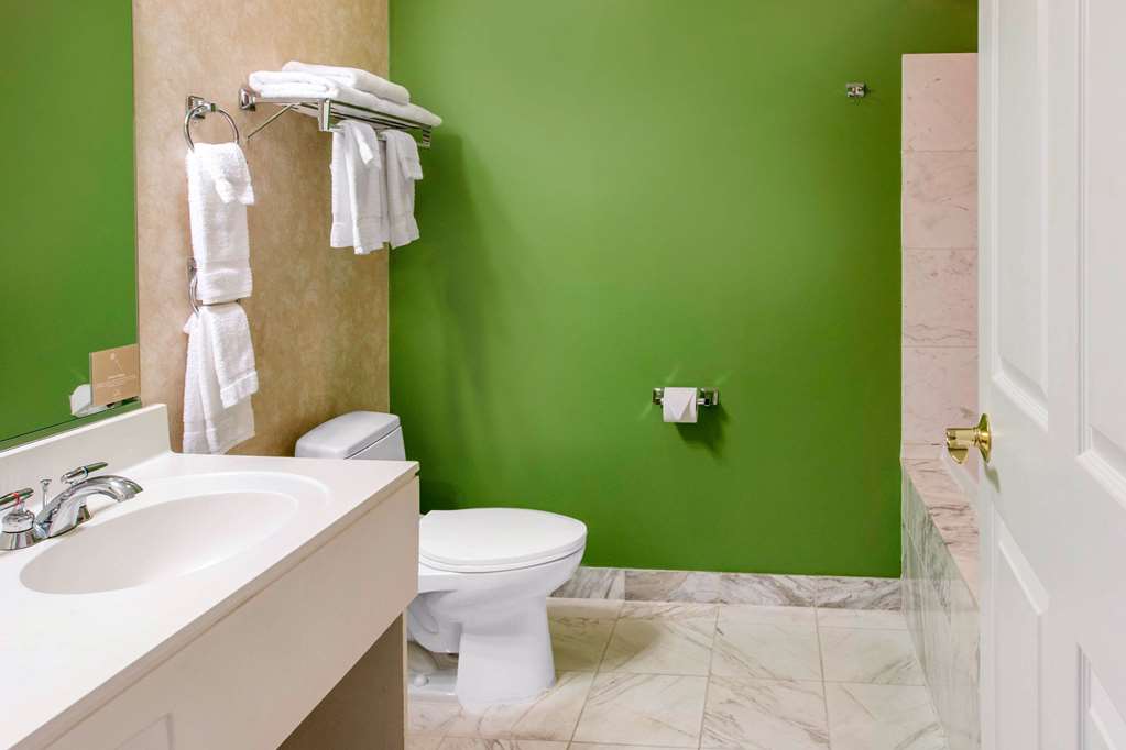 Sleep Inn & Suites Oregon Toledo - photo 18