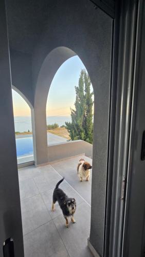 Serenity Getaway — Ierapetra — photo 4