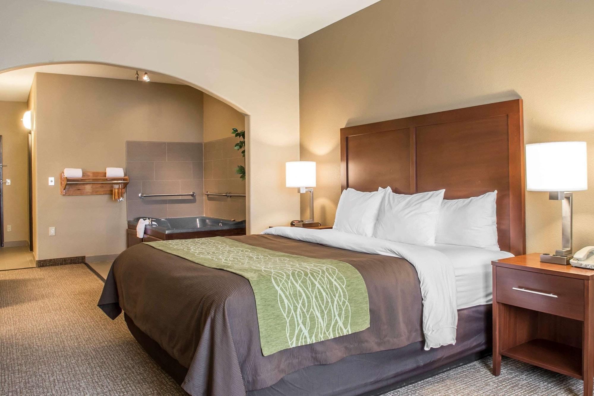 Comfort Inn Edinburg South - photo 23