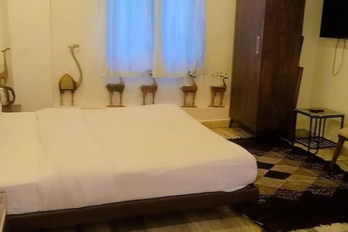 Valley Nest for 6 12 PAX — Abu — photo 5