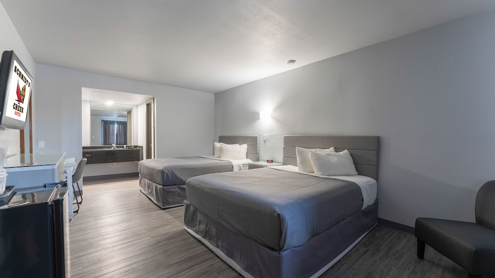 Schmidt's Creek Hotel - photo 14