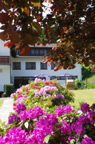 Hotel Herrenrest — hotel in Georgsmarienhuette