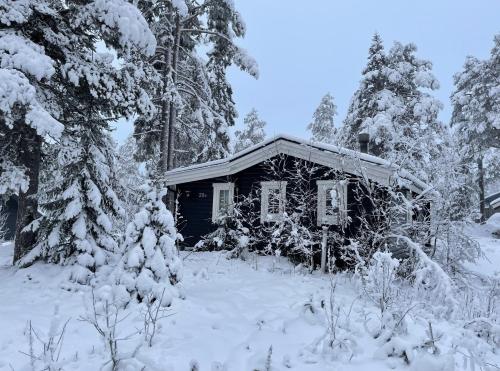 Rustik timmerstuga nära Tandådalens anläggningar — hotel near Scandinavian Mountains Airport