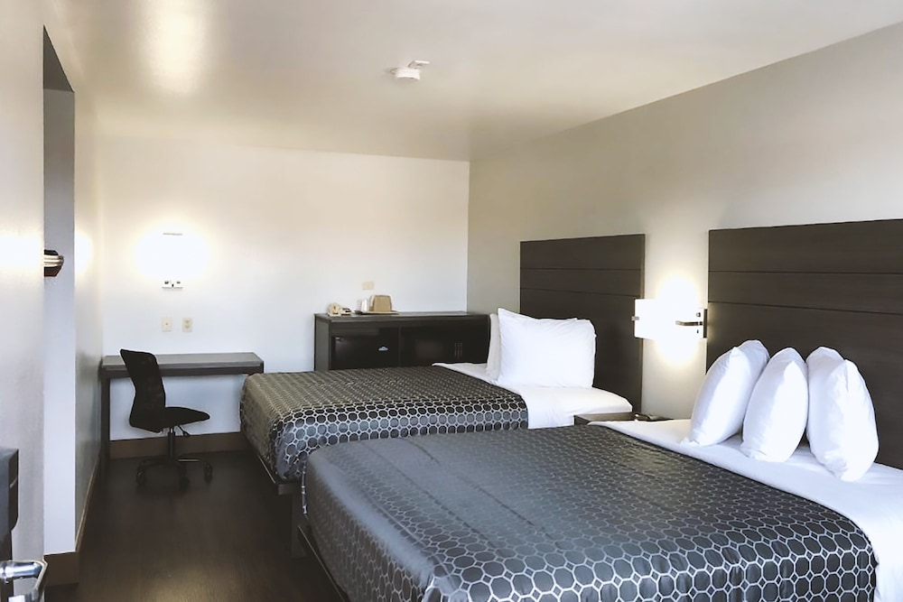 Sky Palace Inn By Jasper Near AT&T Center - photo 5