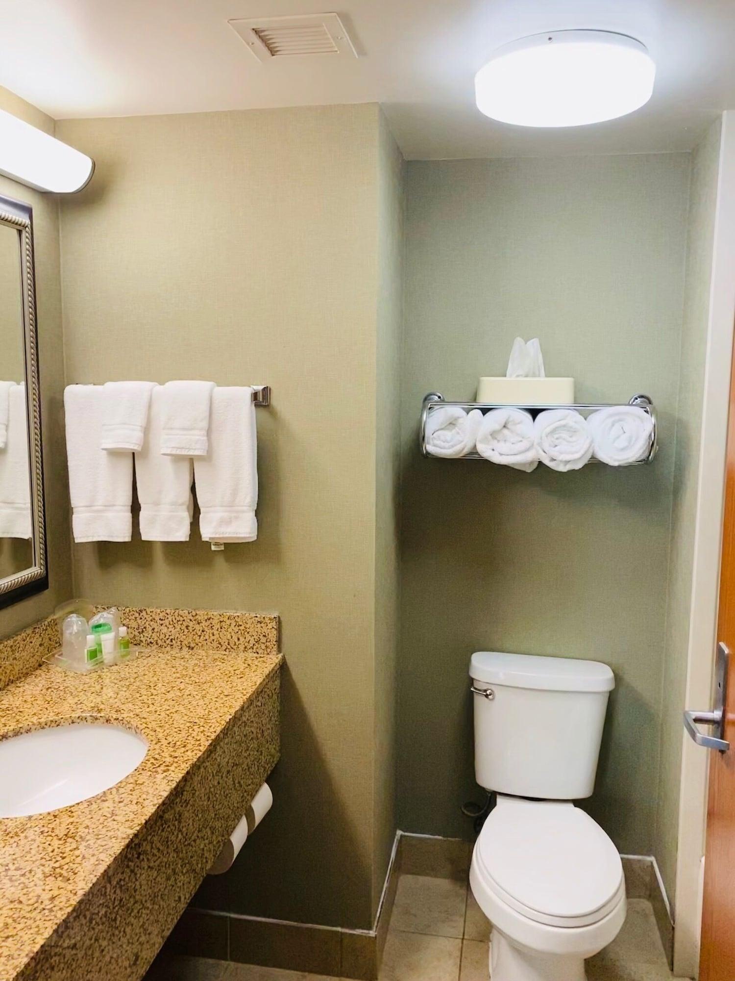 Holiday Inn University of Memphis All Suite an IHG Hotel - photo 12