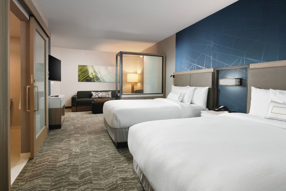SpringHill Suites by Marriott Dallas DFW Airport South CentrePort - photo 5