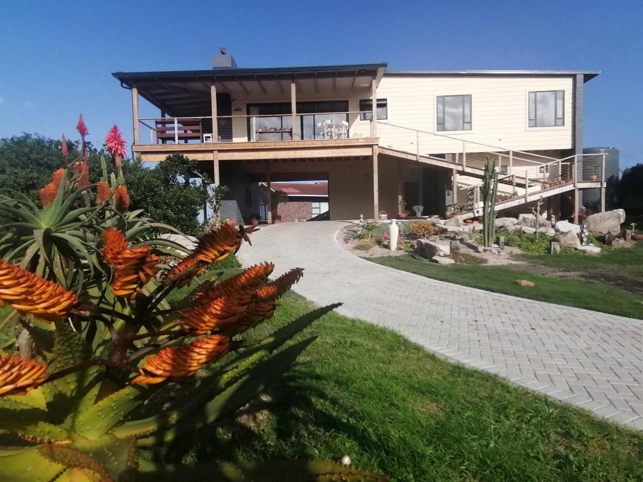 A Real Gem in Cape St Francis in Unknown City, South Africa