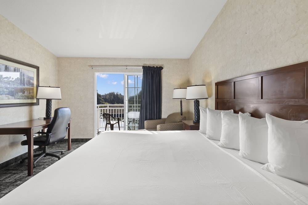 The Beach House Inn - photo 16