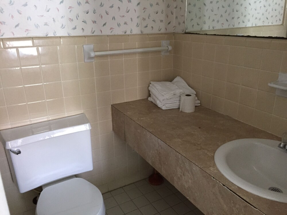 Carolina TarHeel Motel - photo 29