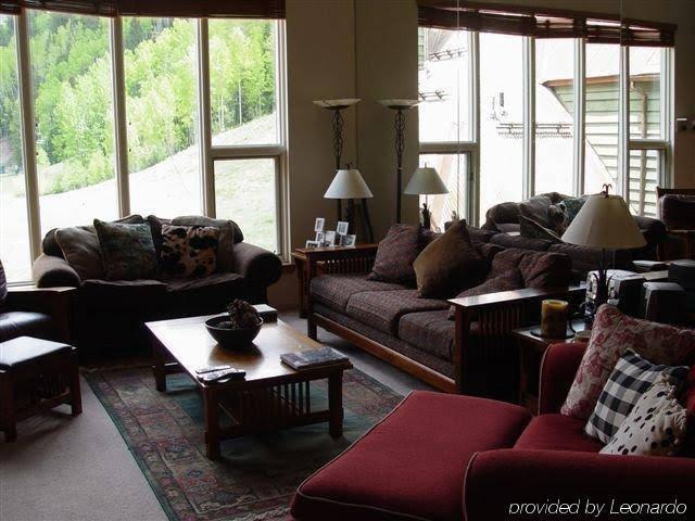 Telluride Alpine Lodging - photo 6