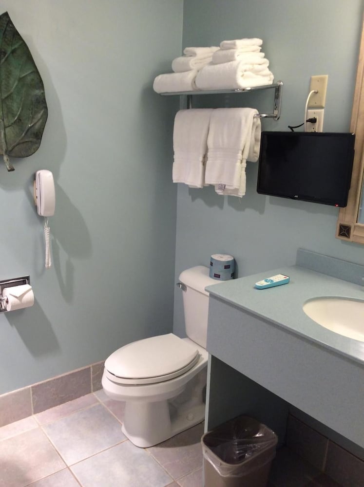 Senator Inn & Spa - photo 66