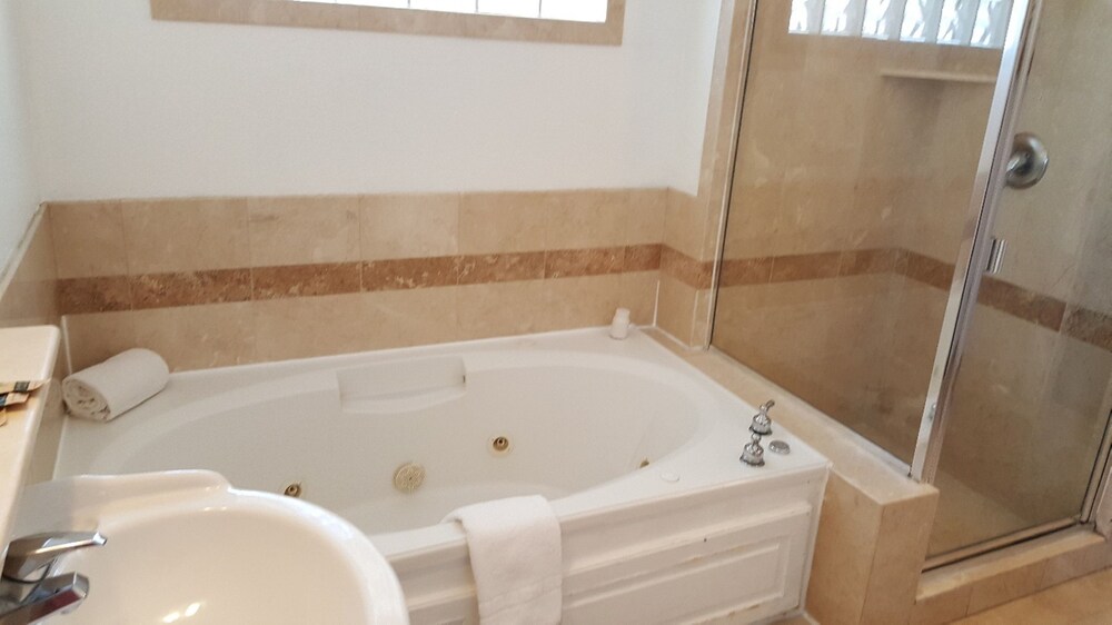 Lake Ridge Hotel - photo 7