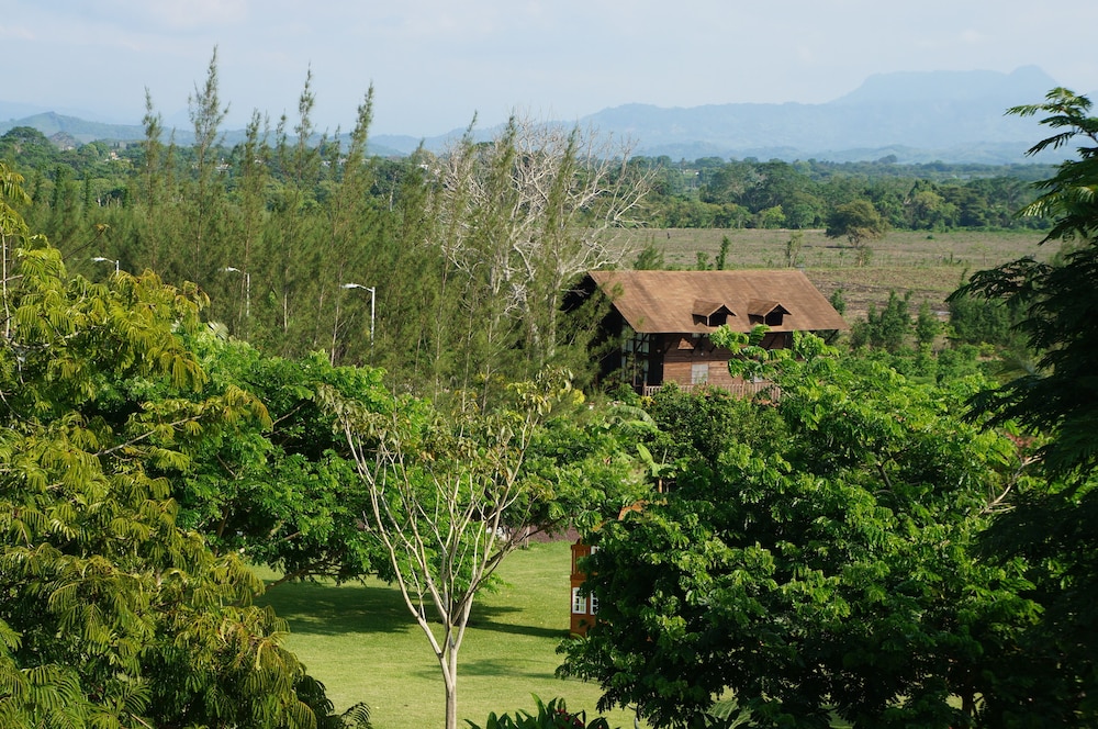 Finca Garullo — San Rafael — photo 5