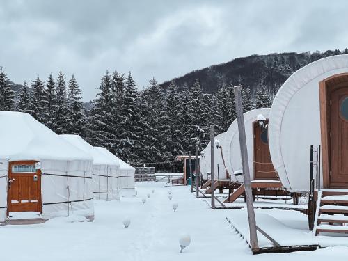 Glamping Spiritul Zimbrului — hotel in Vama Buzaului