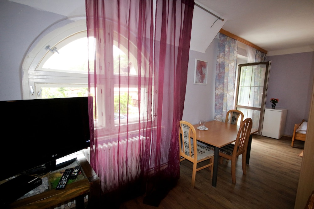 Hotel Bor — Bila Lhota — photo 5