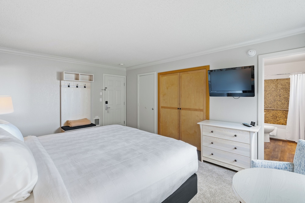 Tolovana Inn - photo 16