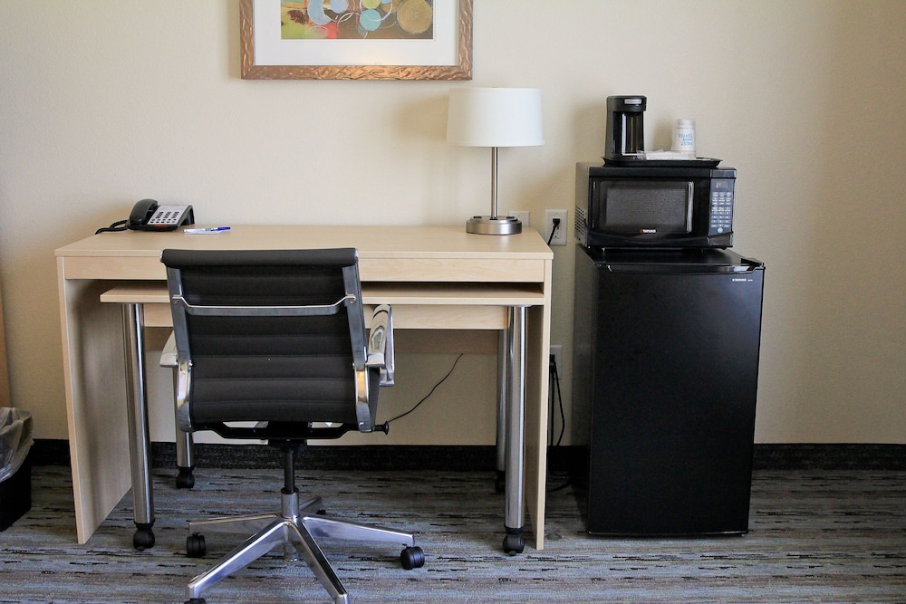 Holiday Inn Express & Suites San Antonio Brooks City Base by IHG - photo 12