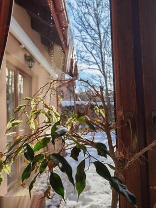 Akacja Apartament — 4-Star Luxury Hotel in Rzeszow, Poland