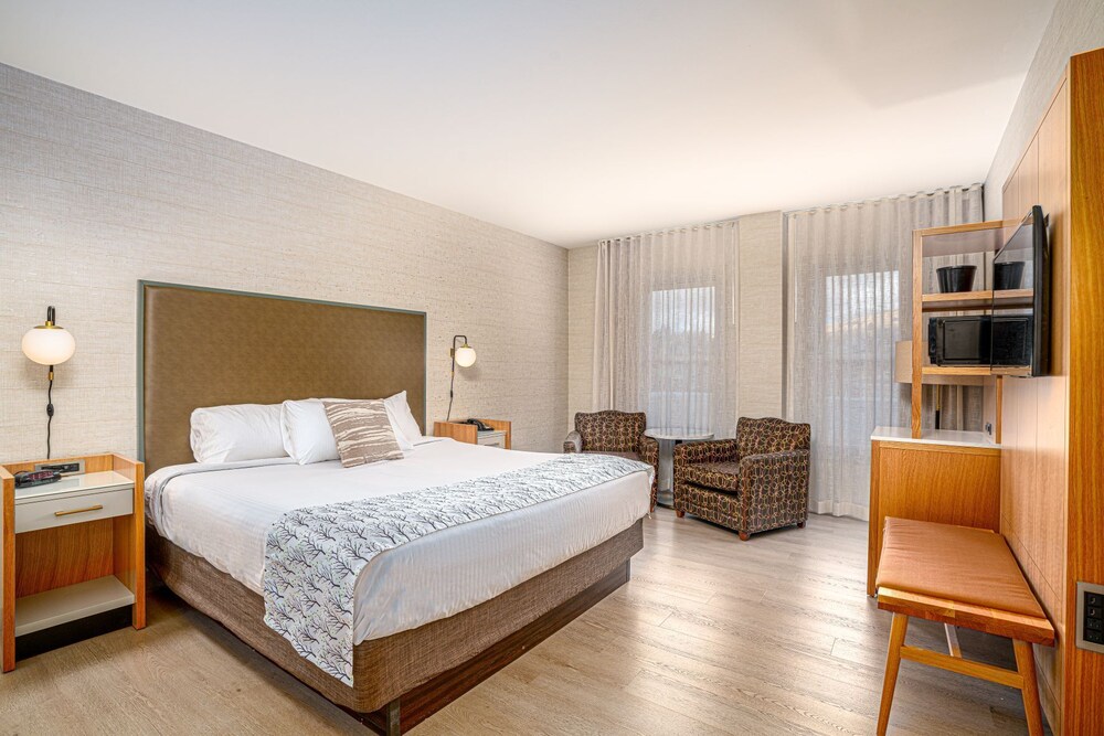 Midnight Rose & McGills Hotel & Casino - photo 11
