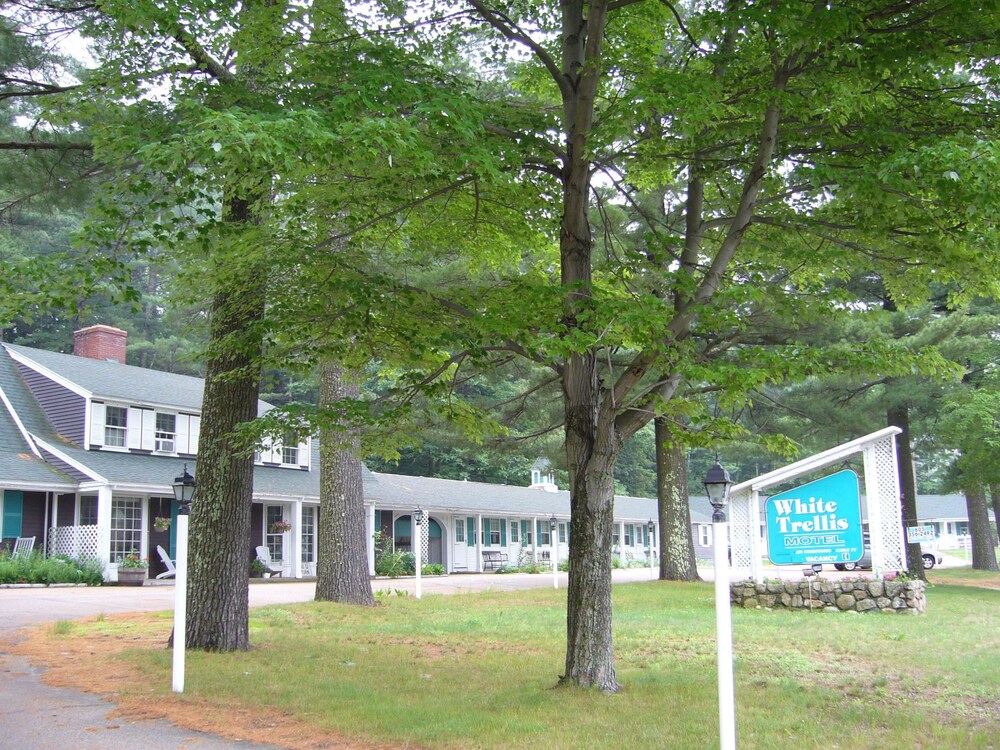 White Trellis Motel - photo 12