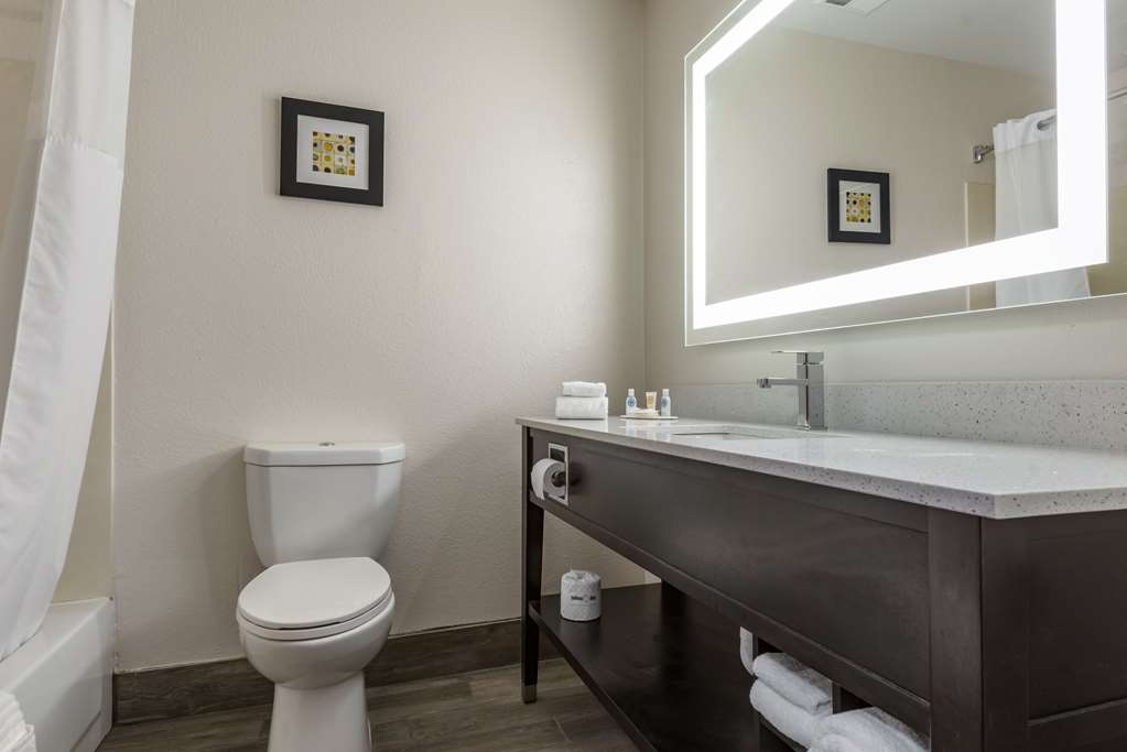 Comfort Inn & Suites Liverpool Syracuse - photo 21